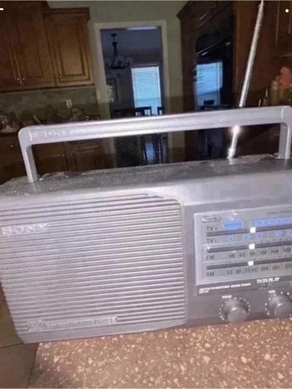 Sony Portable AM/FM Radio in Black and Silver